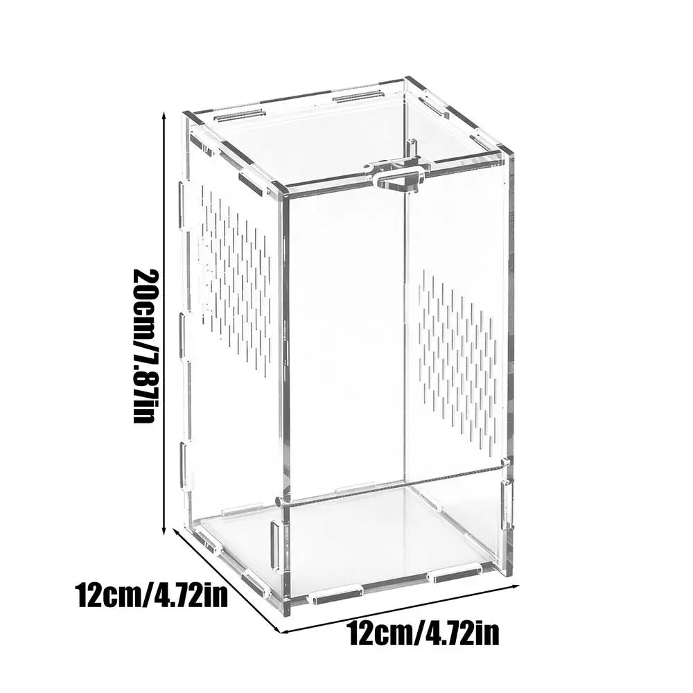 Acrylic Jumping Spider Habitat