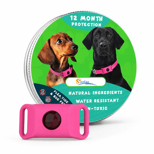 Adjustable Dog Collar with Replaceable - MyPetDollar.com