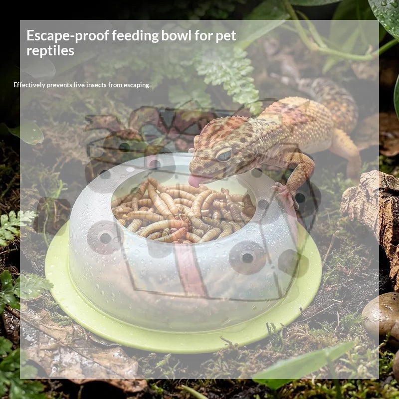 【CC】1Pcs ABS Reptile Feeding Dish Anti - MyPetDollar.com
