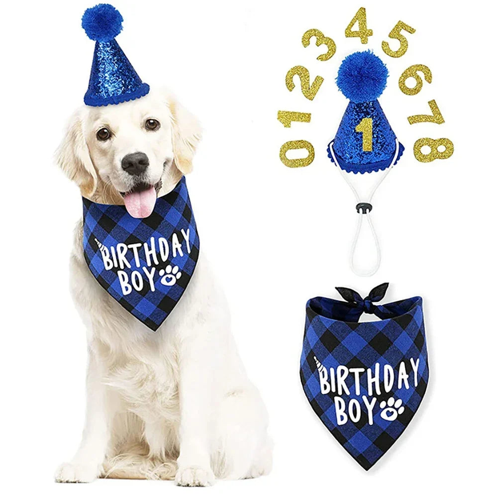 Pets Dog Happy Birthday Decoration Dog - MyPetDollar.com