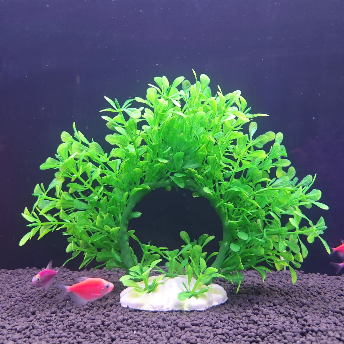 Underwater Wreath Artificial Underwater - MyPetDollar.com