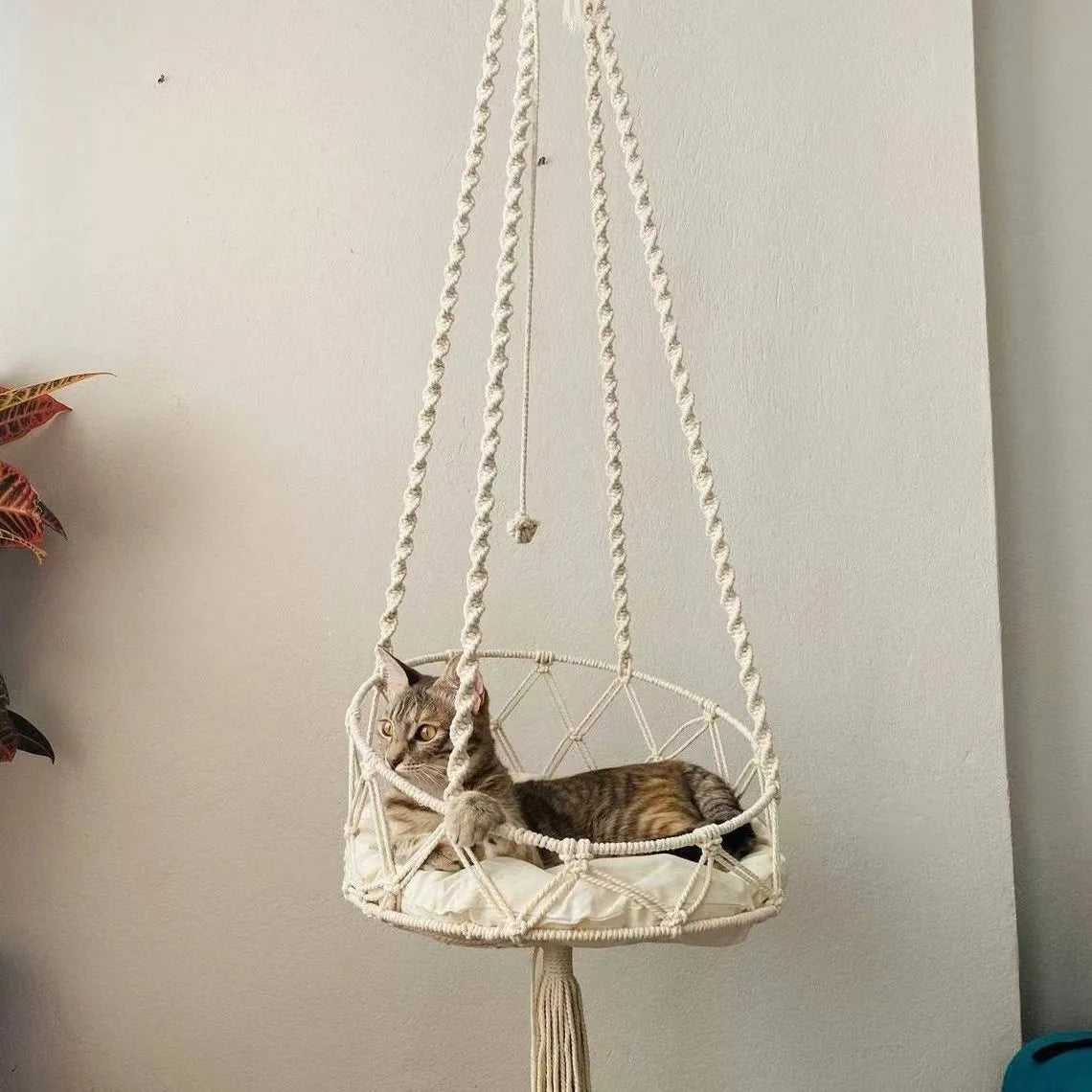 Handmade Woven Cat Hanging Basket Pet - MyPetDollar.com