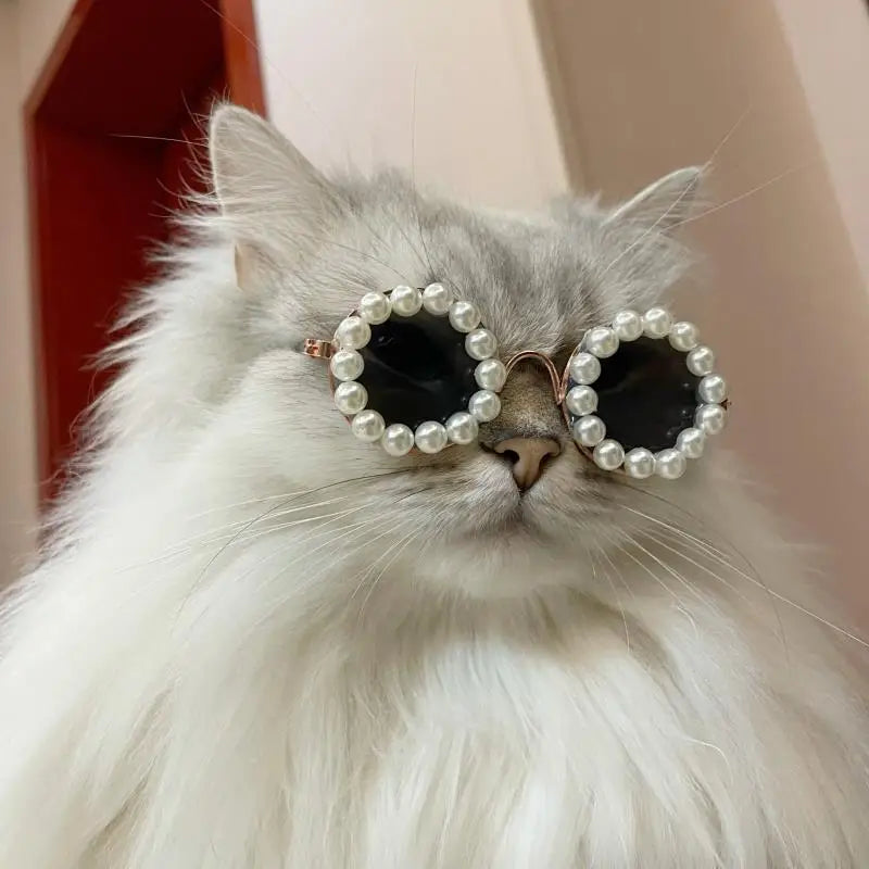 Luxury Glasses Pet Dog Pearl Sunglasses - MyPetDollar.com