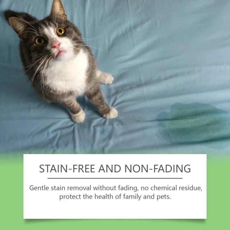 Pet Stain Remover – Cleans Cat & Dog Pet - MyPetDollar.com