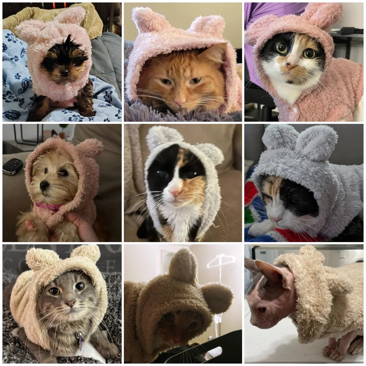 Autumn Winter Cat Clothes Soft Warm Cute - MyPetDollar.com