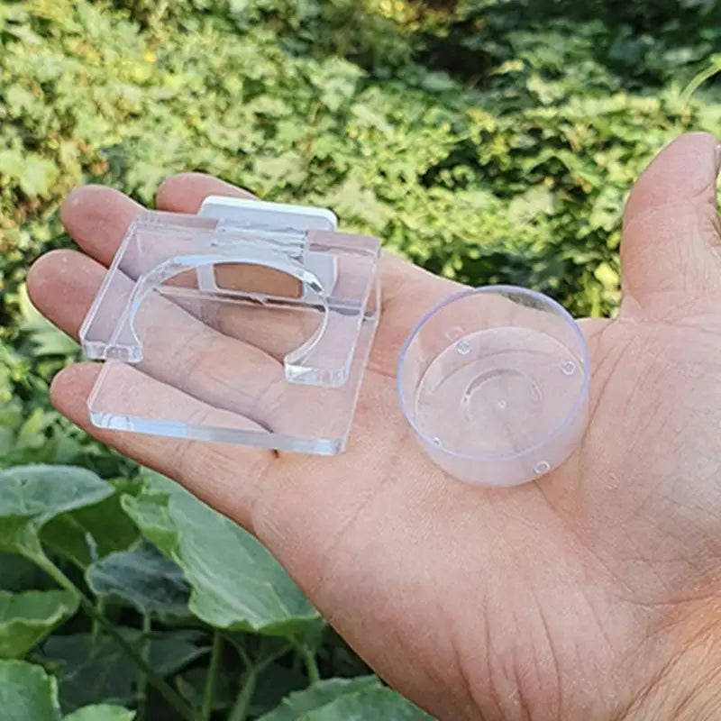 Secure Suction Reptiles Feeder Bowl Water - MyPetDollar.com