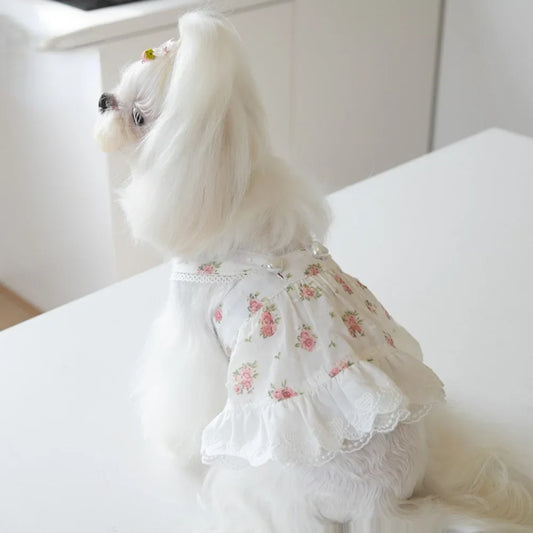 Flower Print Lace Small Skirt Pet Cat Dog - MyPetDollar.com