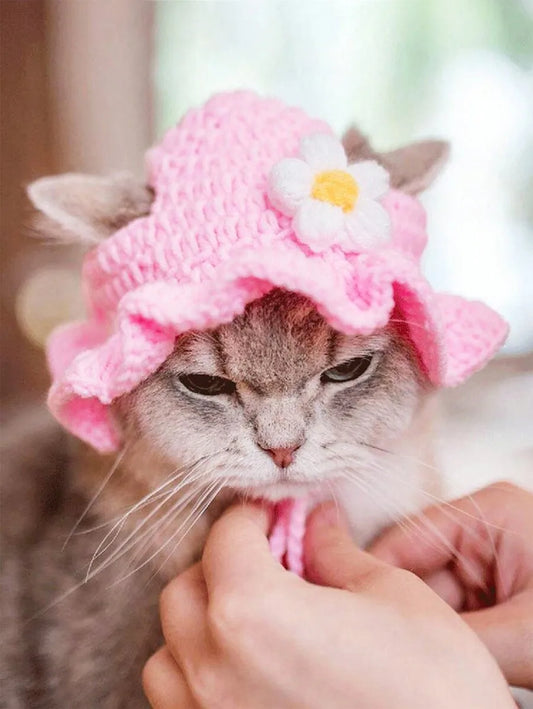 Knitted Pet Hat with Floral Trim for Cats - MyPetDollar.com