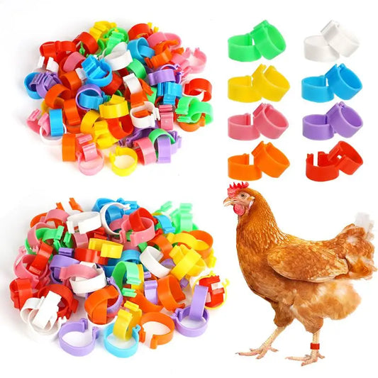 60Pcs 16/20Mm Chicken Duck Leg Rings Goose - MyPetDollar.com