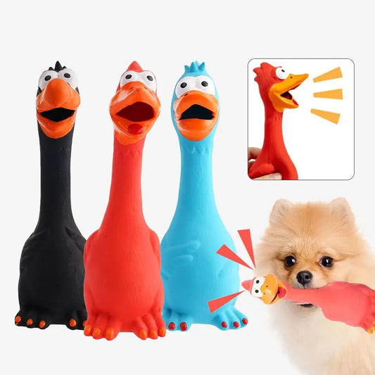 New Squeak Dog Toy Chew Bone Squeaky Ball - MyPetDollar.com
