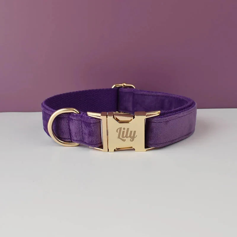 Purple Velvet Dog Collar And Leash Set For - MyPetDollar.com