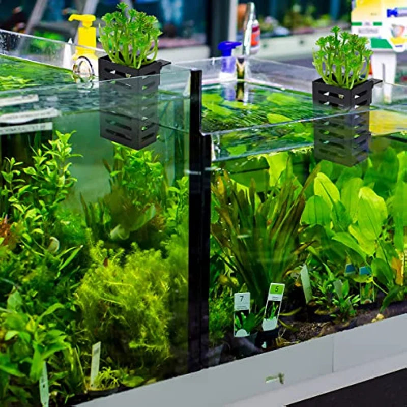Aquarium Plant Holder Hanging Basket Water - MyPetDollar.com