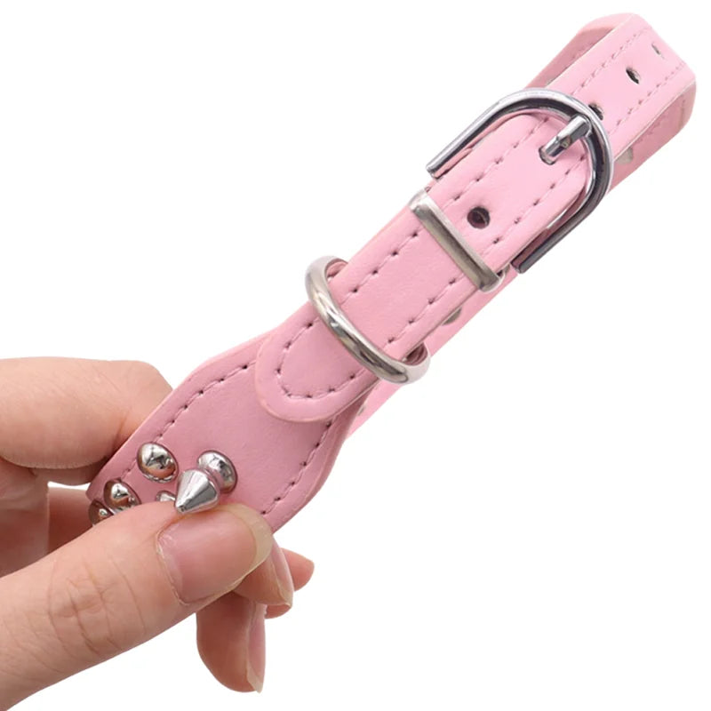 Pet Anti-Chew Collar, Studded Dog Collar for - MyPetDollar.com