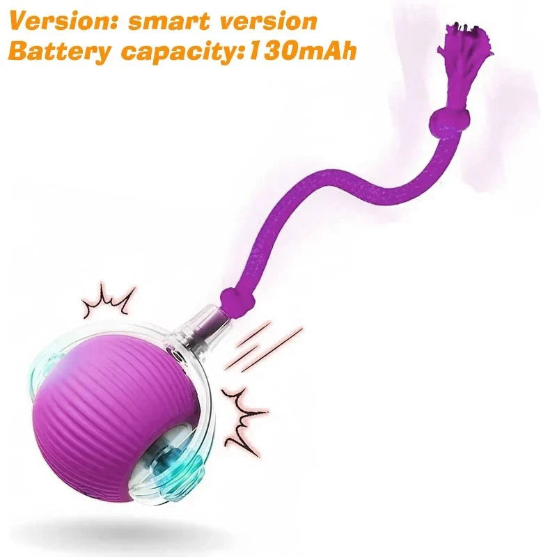 Dog Interactive Ball Toy Automatic Rolling - MyPetDollar.com