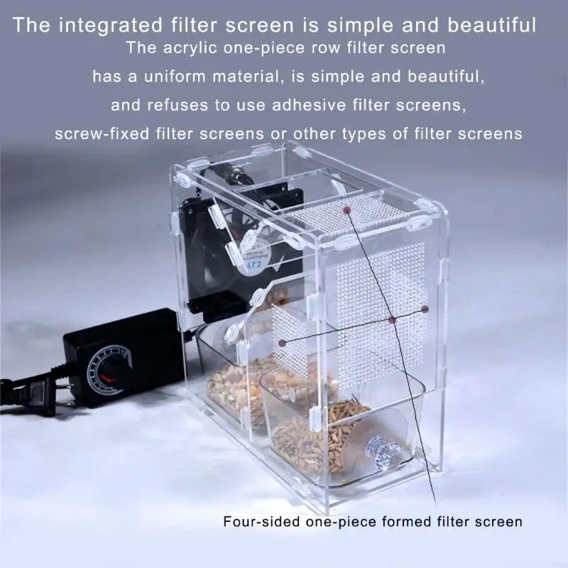 Bird Grains Blowing Ma Adjustable Speed Fan - MyPetDollar.com