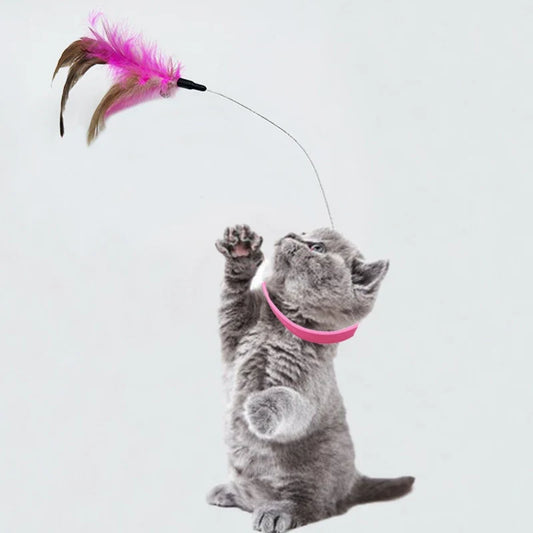 Pet Collar Teasing Stick Cat Self Fun - MyPetDollar.com