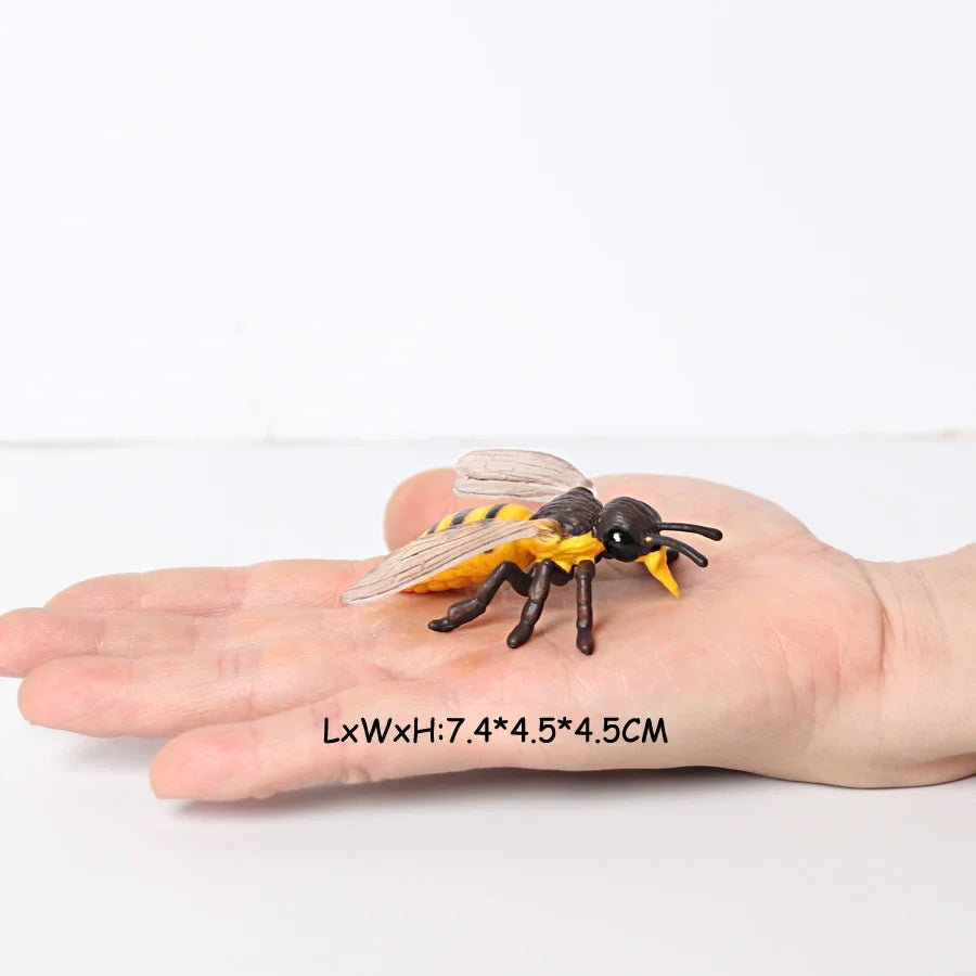 Realistic Insect Grasshopper Mosquito Cicad - MyPetDollar.com