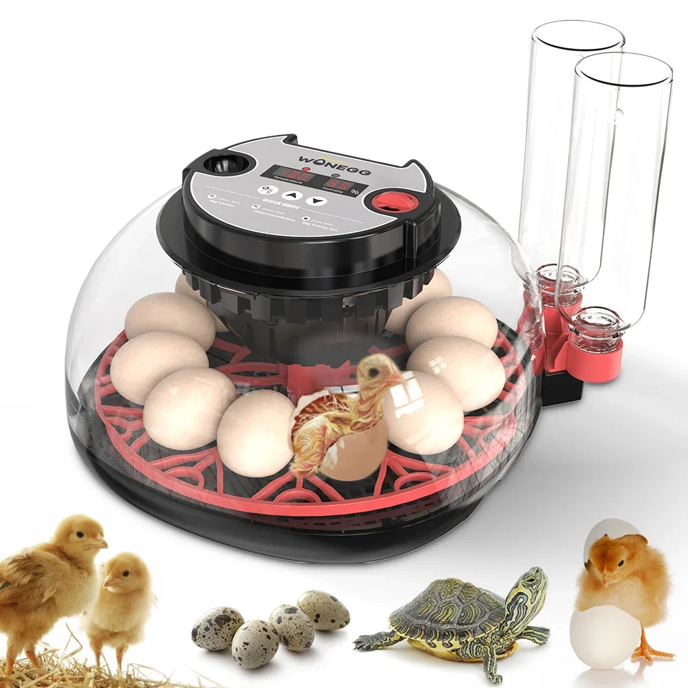 100-240V with Flashlight for Automatic 12H - MyPetDollar.com