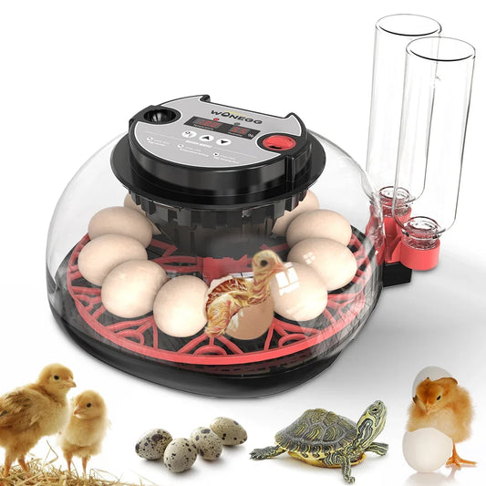 100-240V with Flashlight for Automatic 12H - MyPetDollar.com