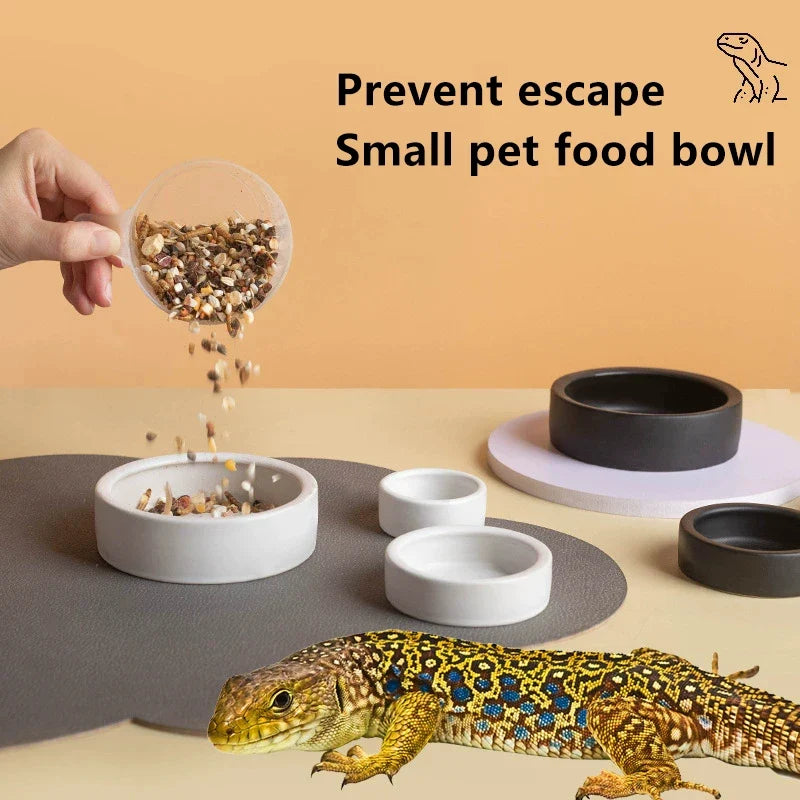 Reptile Food Ceramic Bowl Anti-Escape - MyPetDollar.com