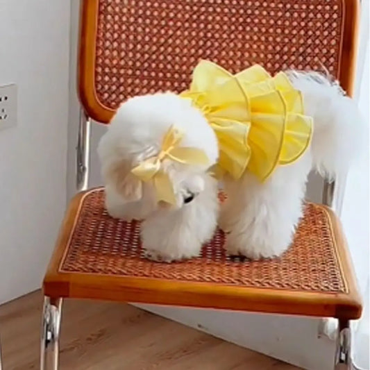Pet Supplies Cute Pet Love Strap Cake Skirt - MyPetDollar.com