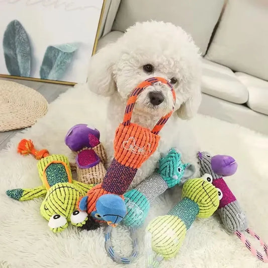 Pet Dog Cleaning Teeth Squeaky Interactive - MyPetDollar.com