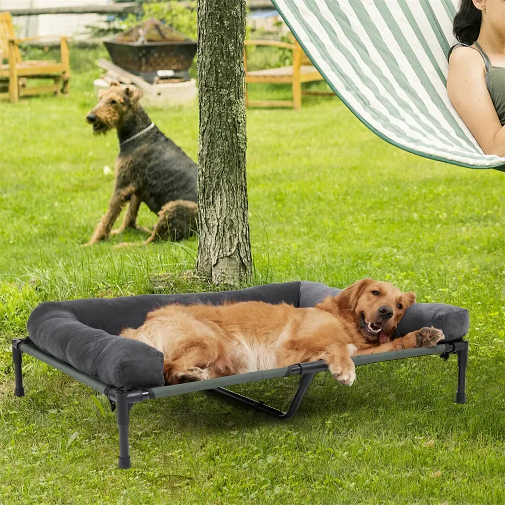 BINGOPAW Outdoor Elevated Dog Bed Cooling - MyPetDollar.com