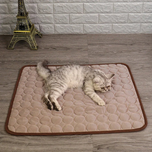 Summer Cat Puppy Cooling Mats Mesh - MyPetDollar.com