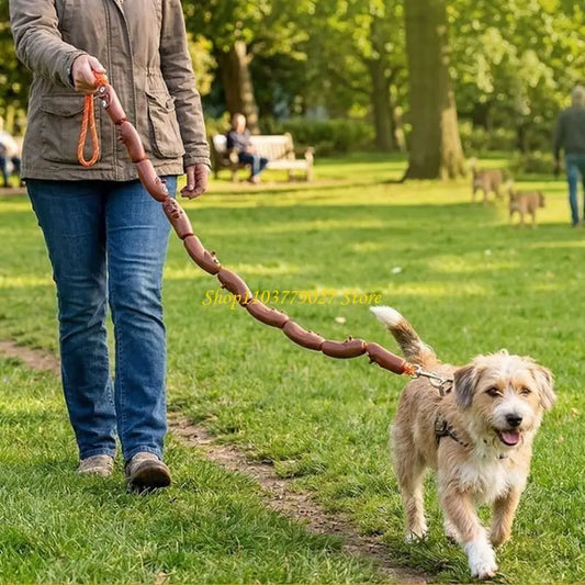 C4df Light Dog Walking Rope (2 colors)