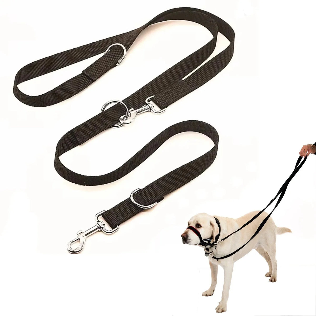 250CMX2.5CM Long Adjustable Dog Leash for - MyPetDollar.com