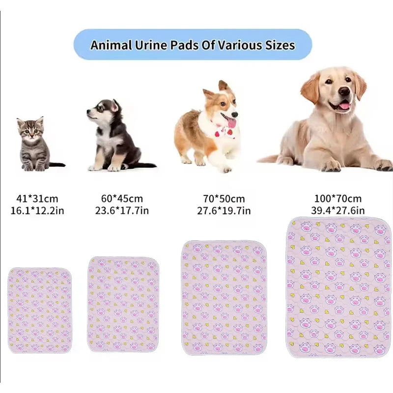 Anti-Slip Absorbent Pet Pee Pad - Cute - MyPetDollar.com
