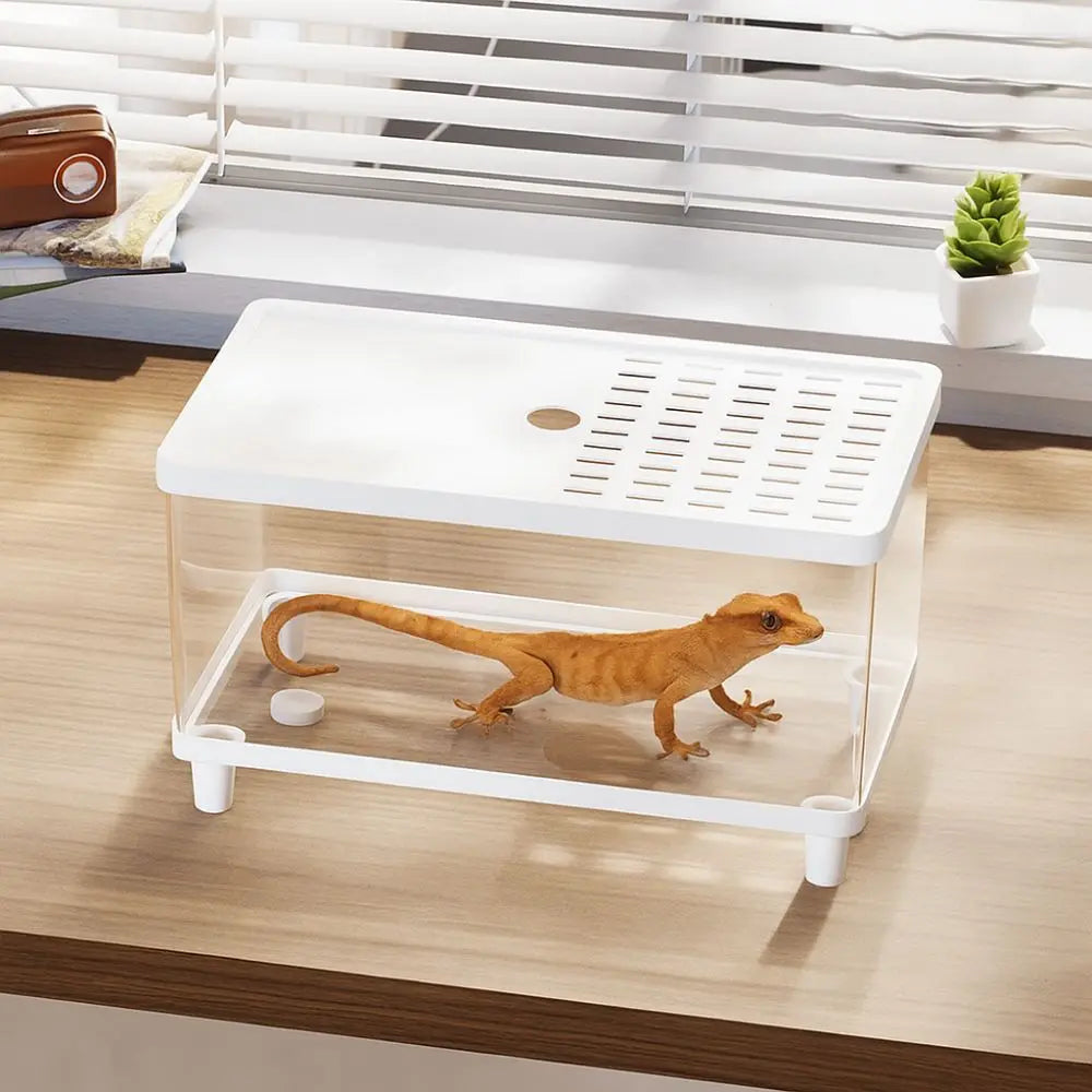 Transparent Reptile Terrarium Breathable - MyPetDollar.com