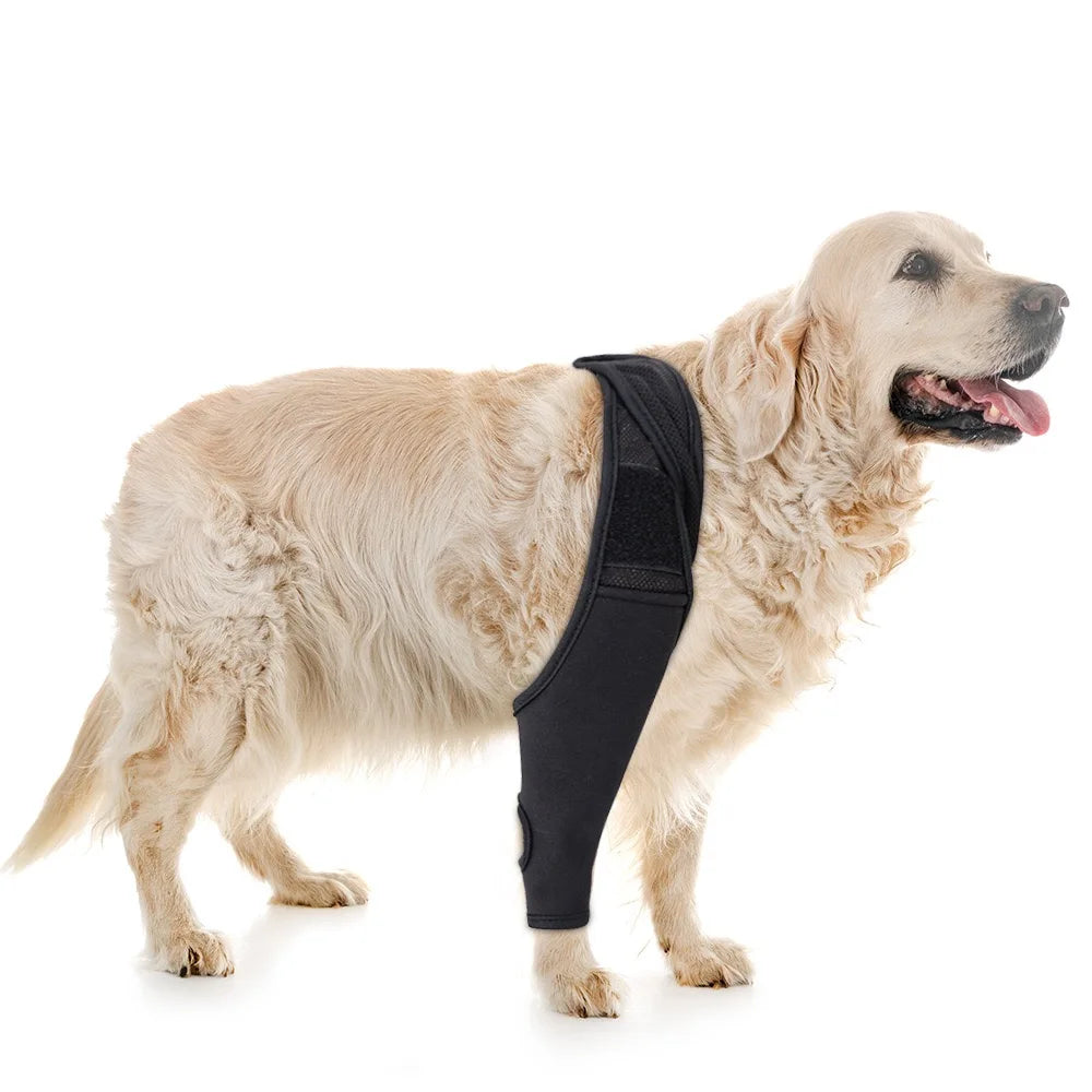 OEM Dog Knee Support Wrap Post Surgery - MyPetDollar.com