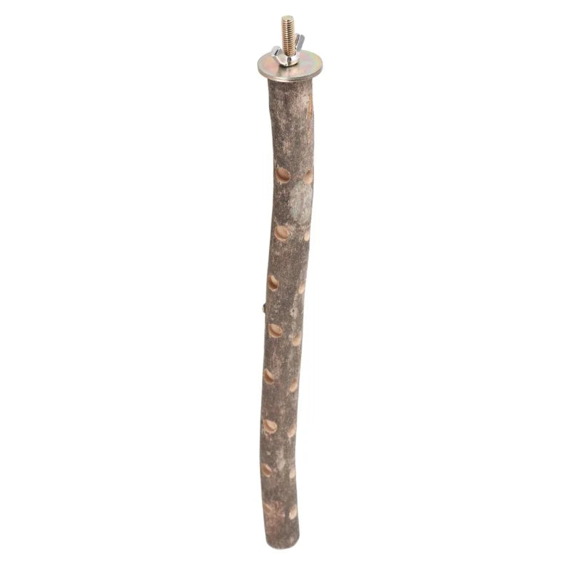 Bird Perch Nature Stand for Parrots Conure - MyPetDollar.com
