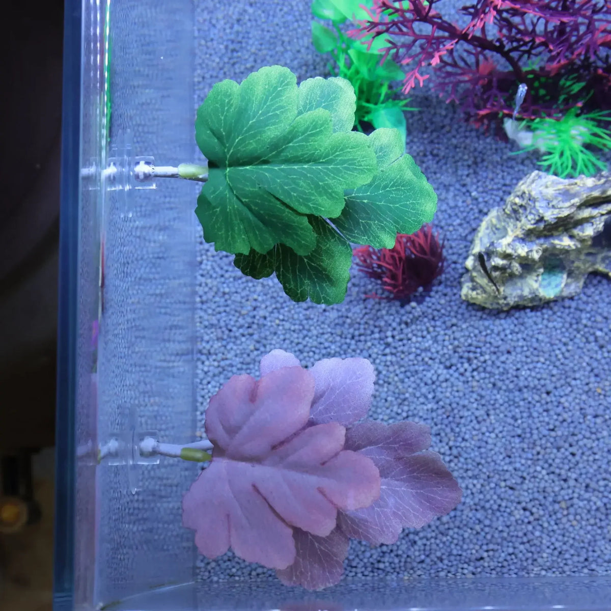 Betta Fish Hammock Soft Leaf Aquarium - MyPetDollar.com