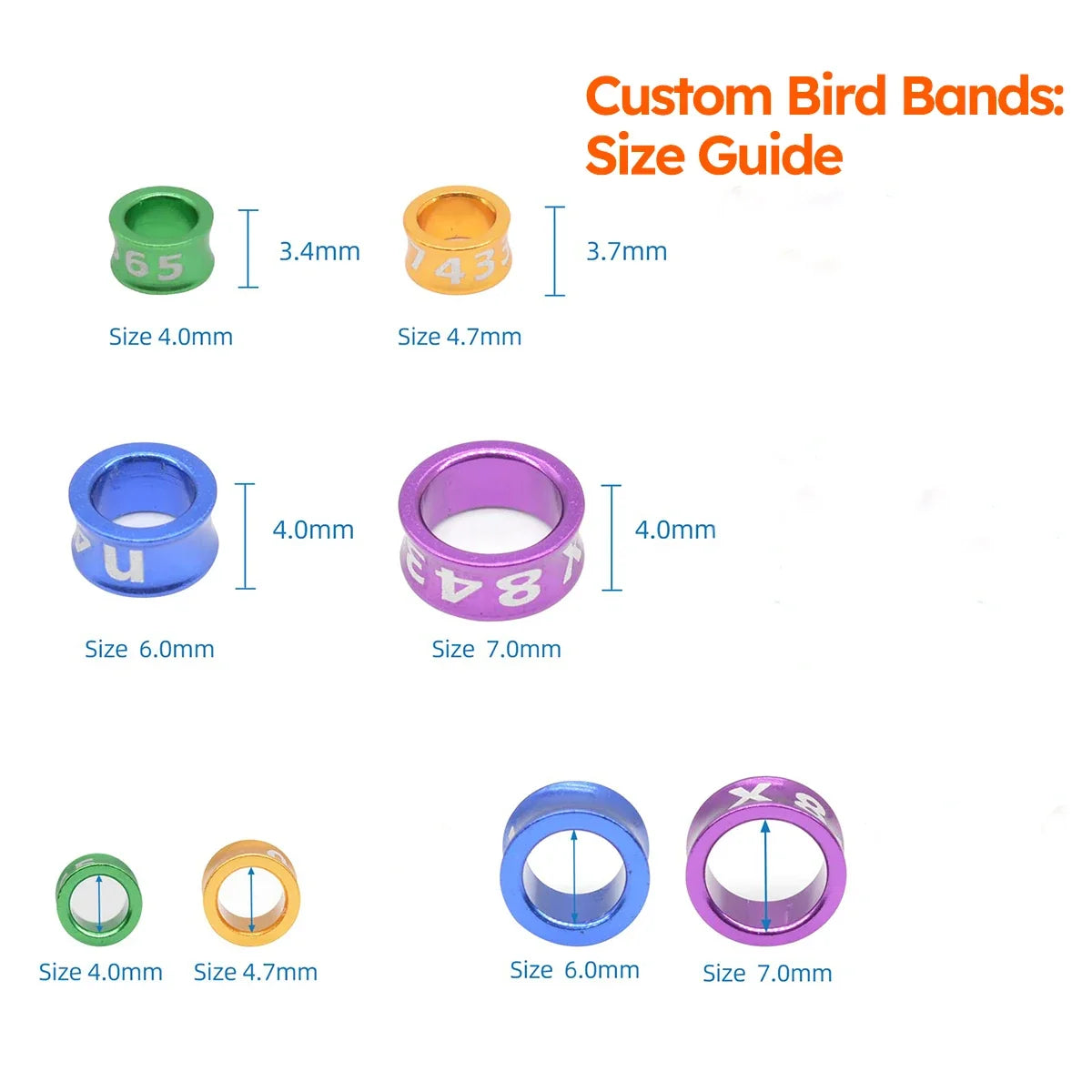 10pcs Customized Bird Rings, Durable Random - MyPetDollar.com