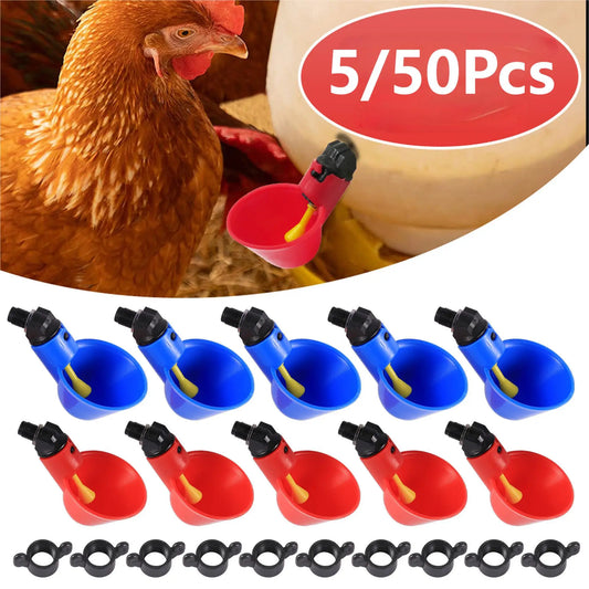 5/50 Pcs Chicken Quail Automatic Drinking - MyPetDollar.com