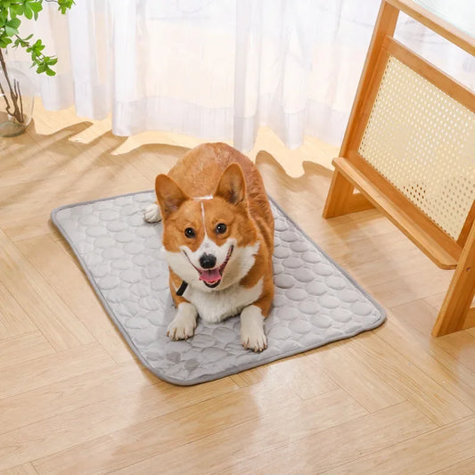 Summer Breathable Ice Silk Pet Cooling Mat - MyPetDollar.com
