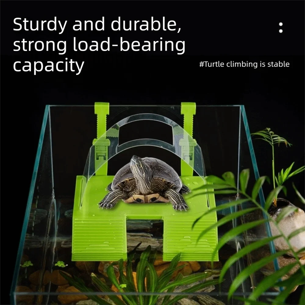 Double Ramp Turtle Basking Platform - MyPetDollar.com