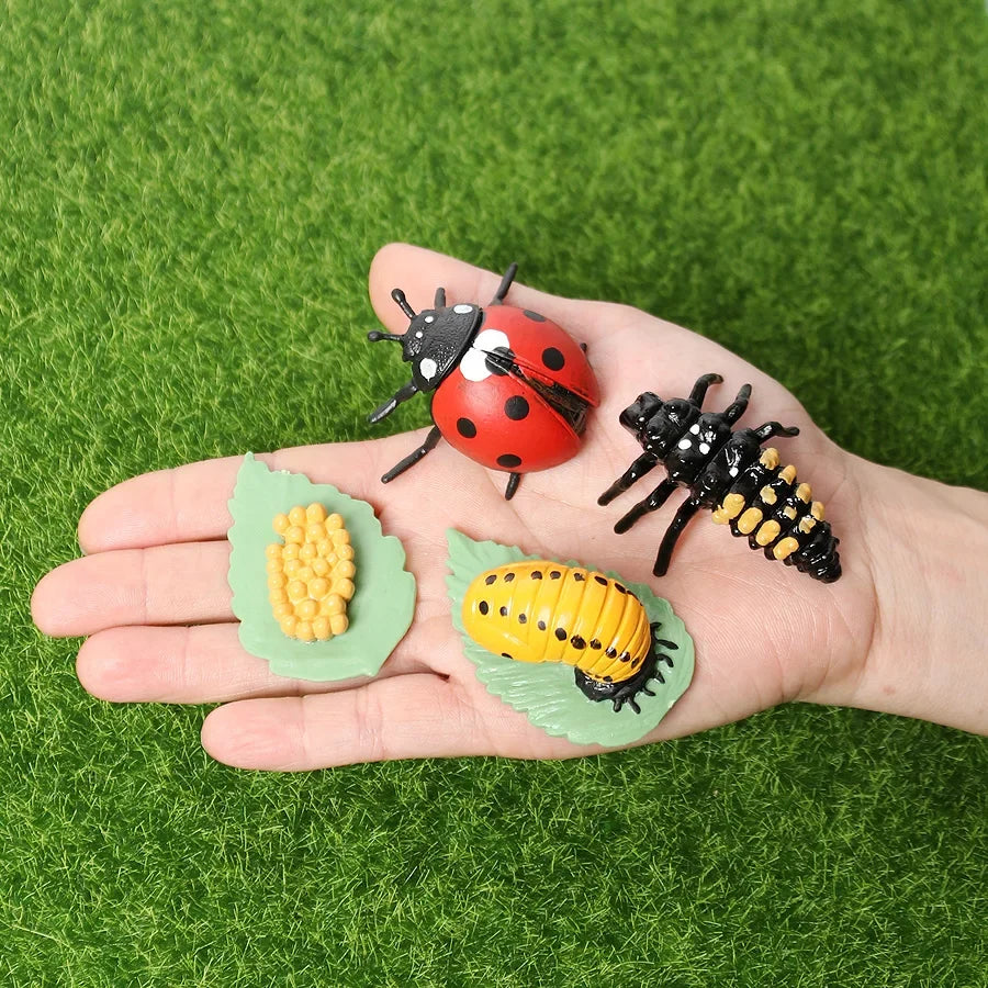 Realistic Insect Grasshopper Mosquito Cicad Ladybug Butterfly – 43 Colors