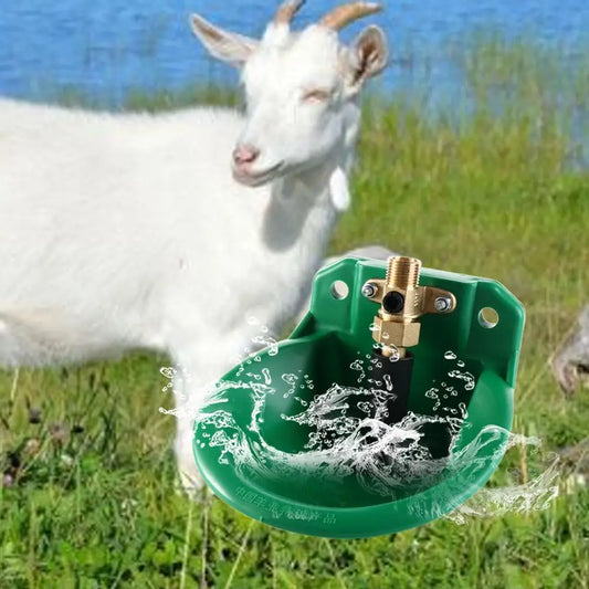 Livestock Sheep Goat Drinker Bowl with - MyPetDollar.com