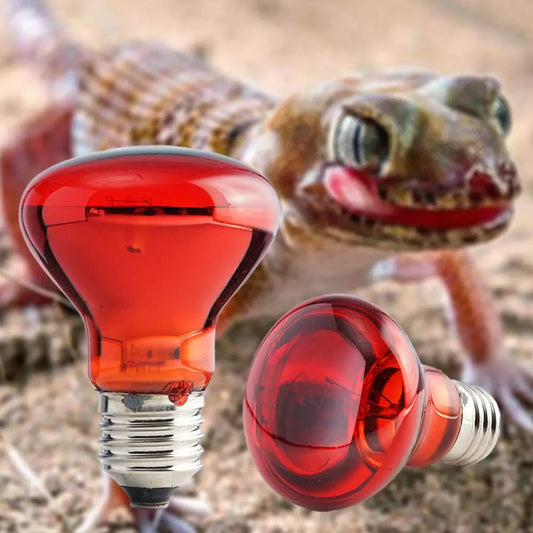 Pet Heating Lamp UVA Day Night Amphibian - MyPetDollar.com
