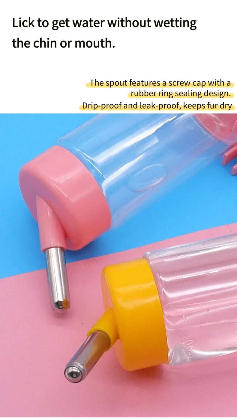 500ml Convenitent Ball Type PP Material Cage - MyPetDollar.com