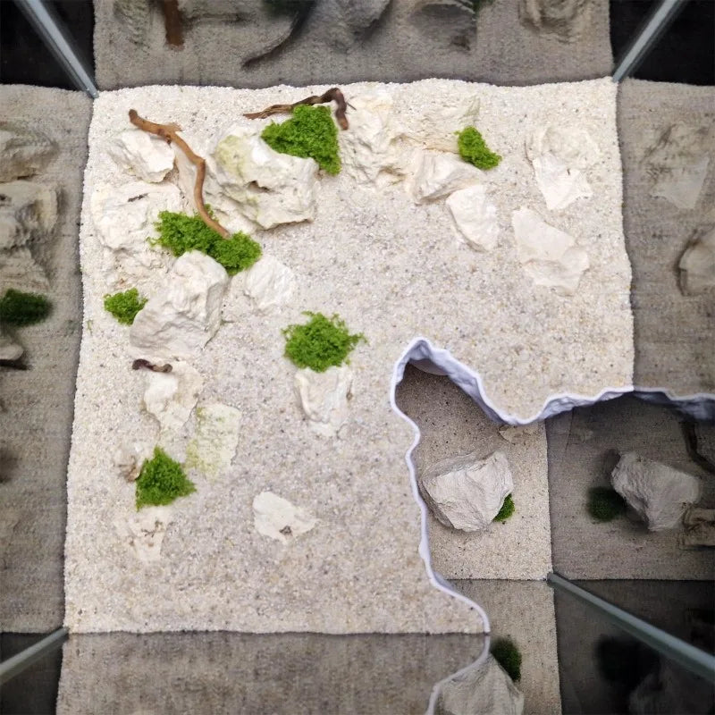 Reptile/Fish Tank Landscaping - - MyPetDollar.com
