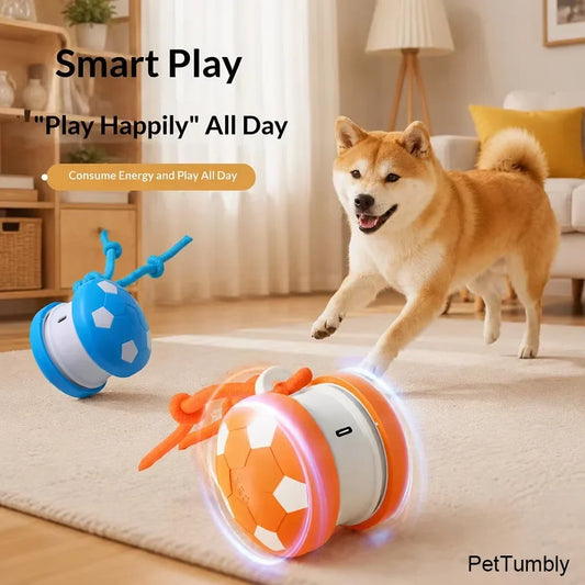 Smart Interactive Dogs Toy Balls Pets - MyPetDollar.com