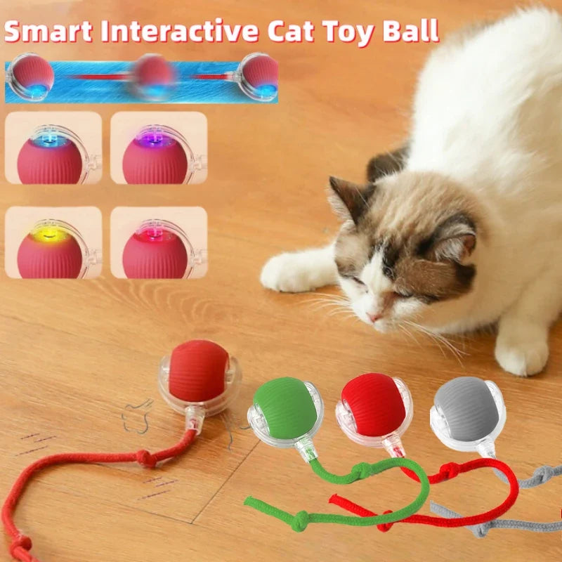 Cat Interactive Ball Toy Automatic Rolling - MyPetDollar.com