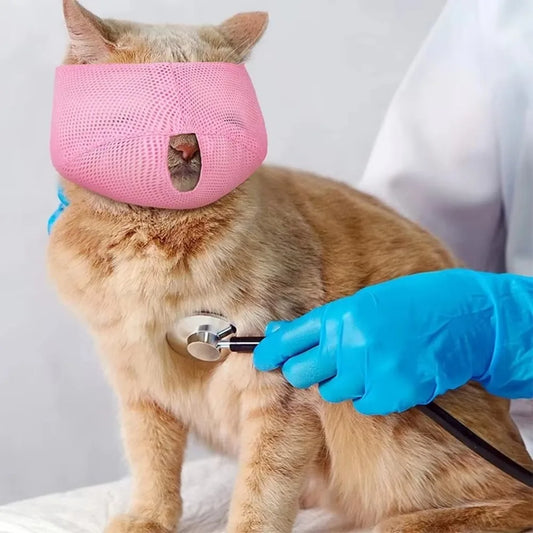 New Breathable Cat Muzzle Mesh Colorful Cat - MyPetDollar.com