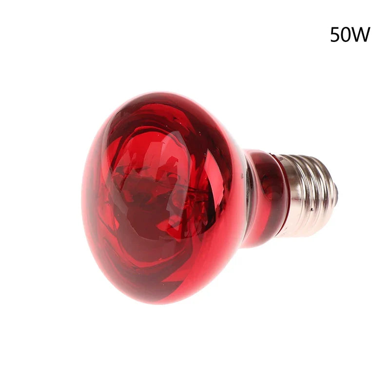 25 40 50 60 75 100w E27 UVA Poultry Bulb Infrared Night Light – 6 Colors