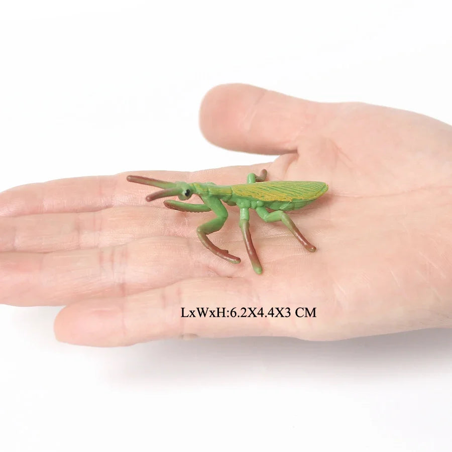 Realistic Insect Grasshopper Mosquito Cicad - MyPetDollar.com