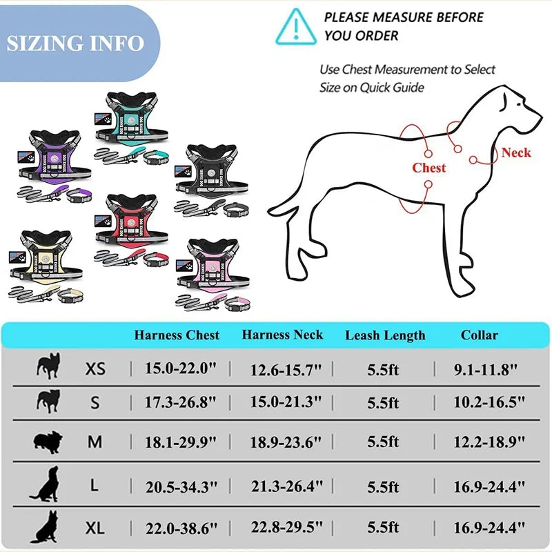 Doberman Dog Harness Collar Leash Set - MyPetDollar.com